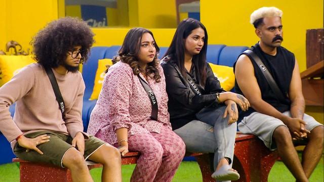Episode 30 - Day 29 - New Members in the BB House