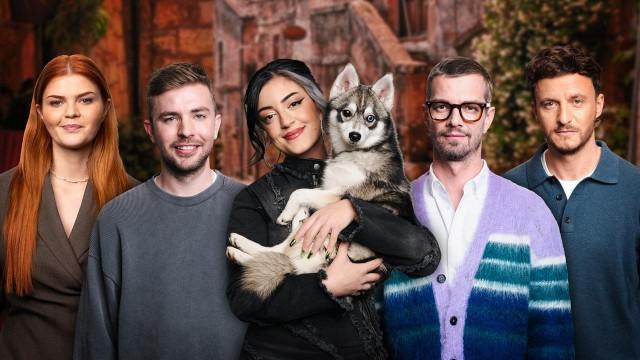 Dickpics für ZDFneo, Pokémon und ein Hund im Studio
