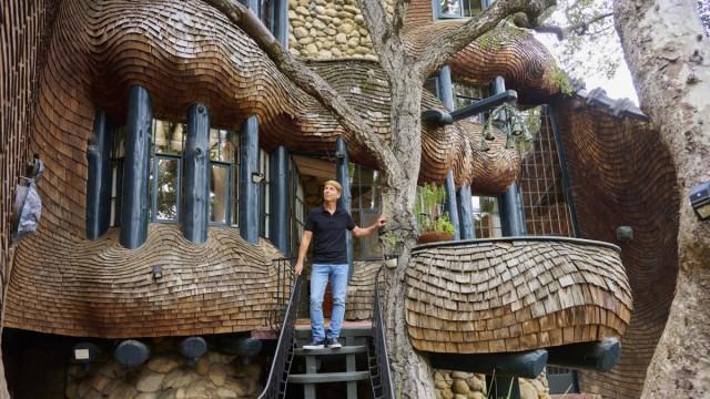 Wild Houses, Assemble!