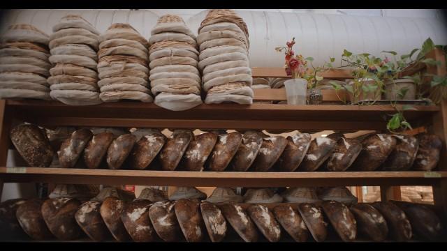 Sourdough in San Francisco