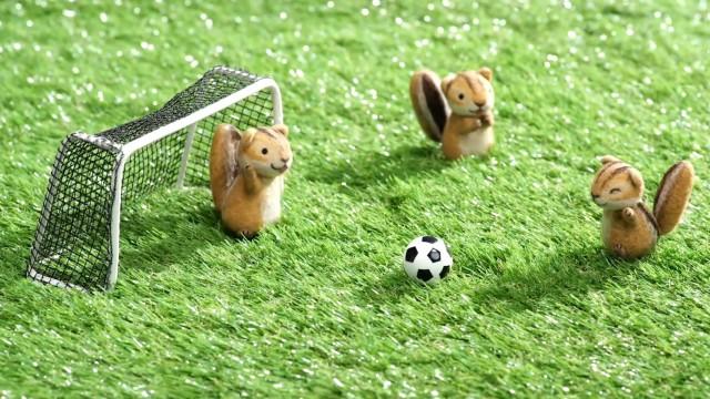 スポーツいっぱい!ウィーク 水曜日
