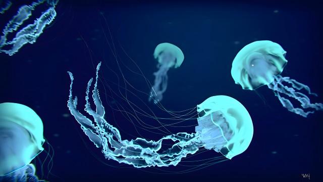 Bioluminescence (SciCast #599)