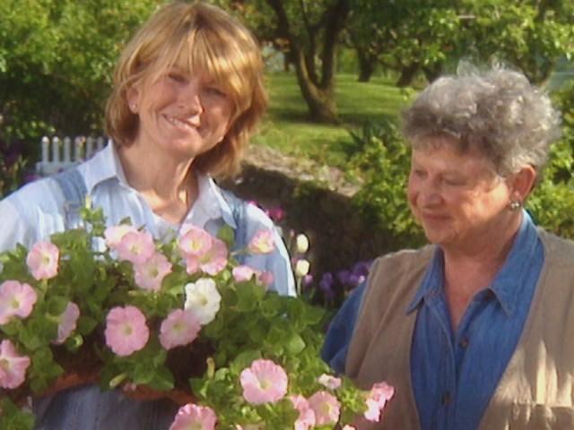 Pegging and Pruning Roses; Wreaths; Manure Tea