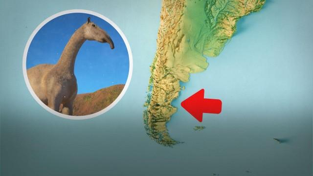 The Mystery of South America's False Horses