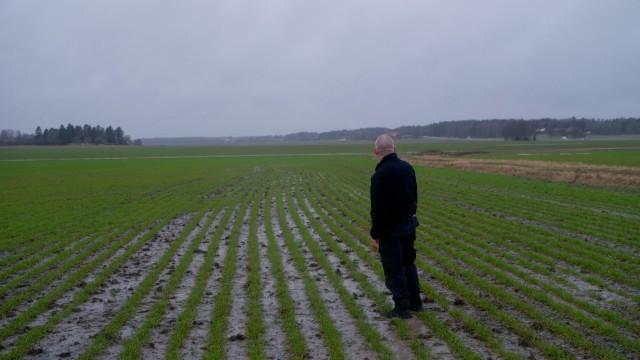 Mannen på åkern