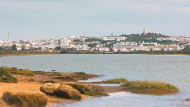 El churrero de Chiclana - Parte II