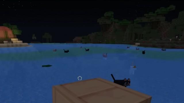 Water Cats