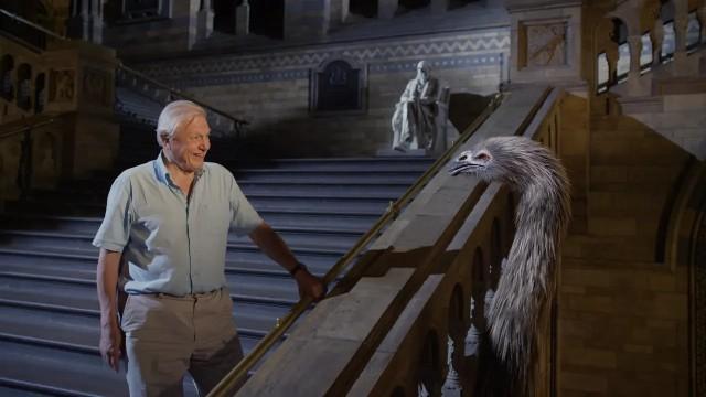 Museum Alive With David Attenborough