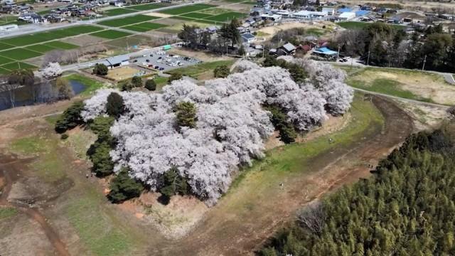 シリーズ 古墳の時代 (1)黄金の馬を育てよ〜地方豪族から見たヤマト王権〜
