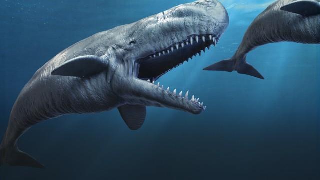 The Rise and Fall of a Whale-Eating Sea Monster