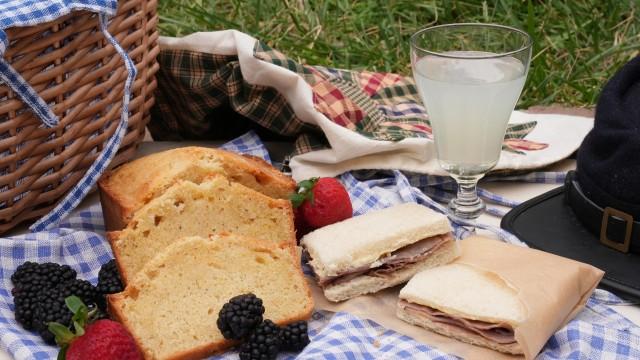 The Picnic at the Battle of Bull Run