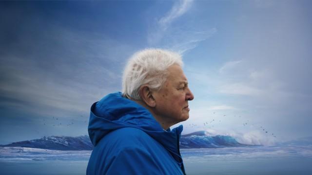 Ocean With David Attenborough