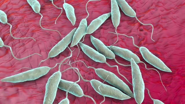 Leishmaniasis: a devastating disease and a fascinating parasite (SciCast #648)