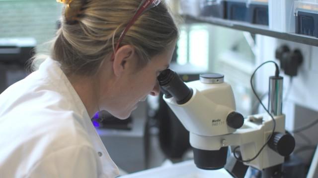 La lutte pour éradiquer la malaria