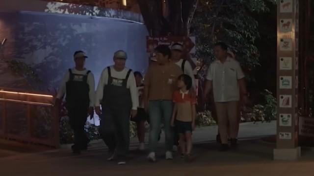 Terra and the Pashneas