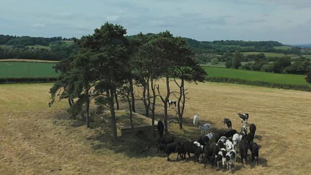 Adam's Farming Families - The Bakers