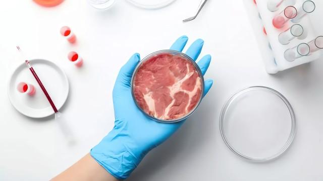 Cultured meat (SciCast #652)