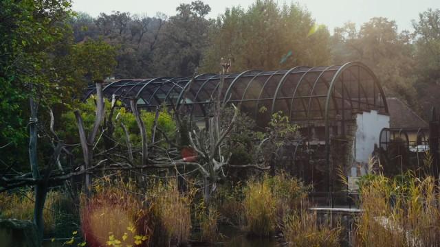 Der Tote im Tiergarten