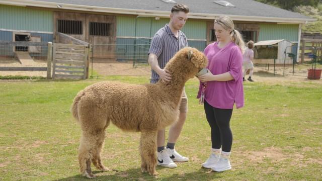 Obsessed with Everything