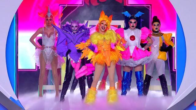 The most Plicopúrpura