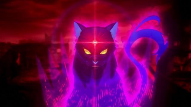 The Assassin Plays With A Cat