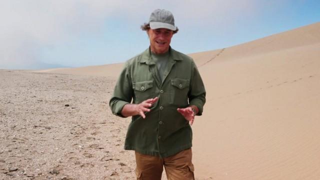 Puntata del 01/11/2025