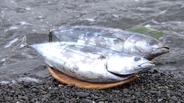 ニッポン カツオだし浪漫(ロマン)
