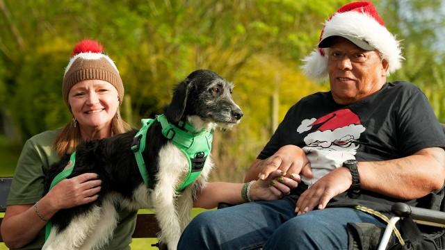 The Dog House at Christmas 2025