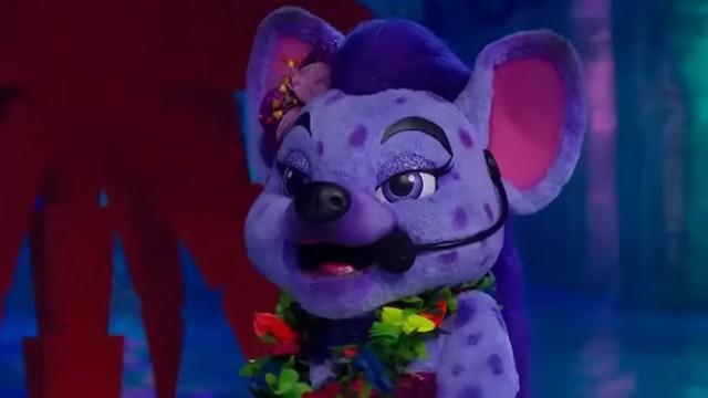 Rumbo a la semifinal