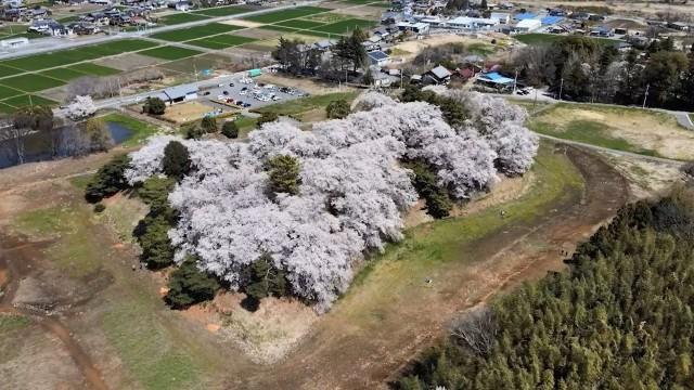 シリーズ 古墳の時代 (1)黄金の馬を育てよ〜地方豪族から見たヤマト王権〜