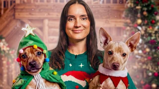 Mes Chiennes Passent le MEILLEUR Noël de leur Vie !!