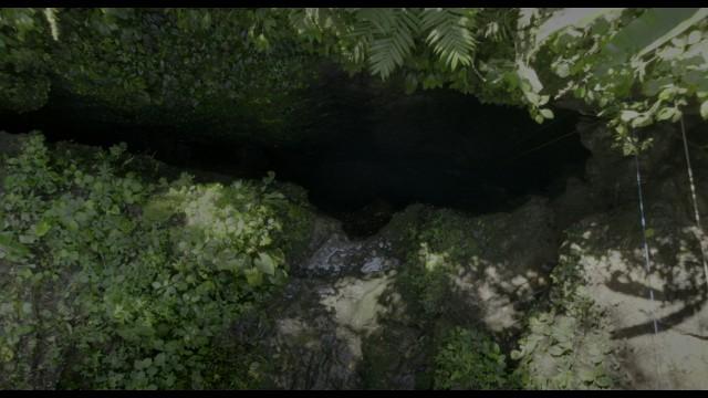 The Amazon: Deadly Creatures