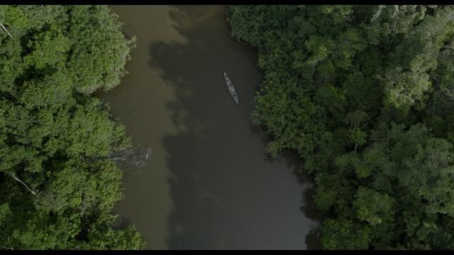 The Amazon: Dark Waters