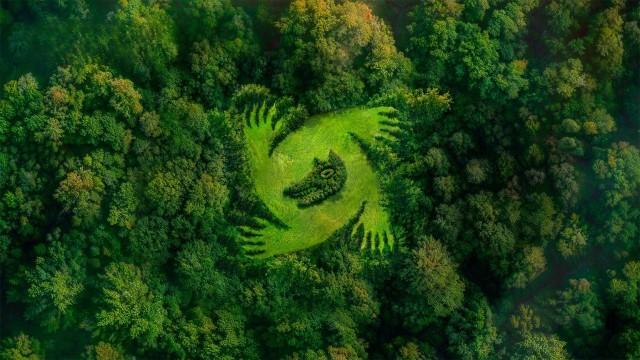 1 HEURE d’images et de sons d’ambiance en 4K pour vos parties de Loups-Garous | CANAL+