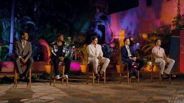 Det å kalle meg en slange, da kommer du ikke langt