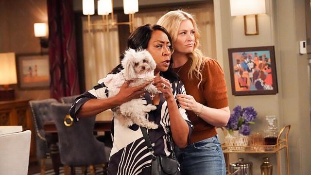 Welcome to the Purse Dog