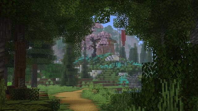  Forest Anew