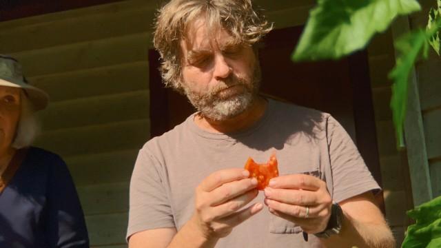 Tomatoes