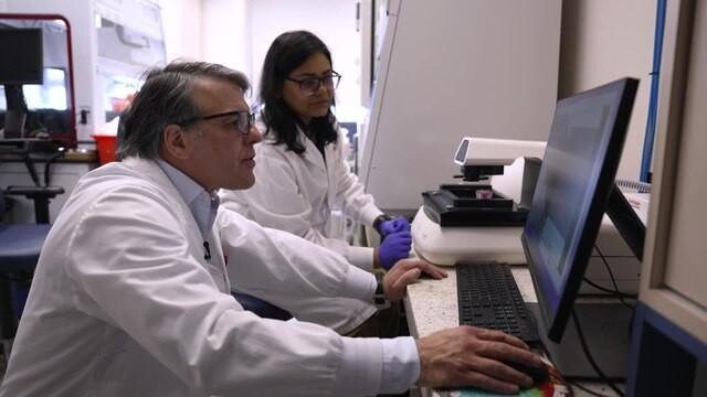 La délicate question de la recherche animale