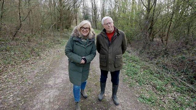 The National Forest - 10 Million Trees