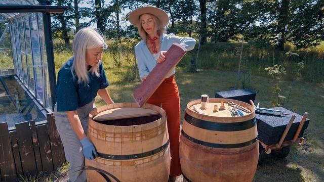 Bifftomater och vintunnor