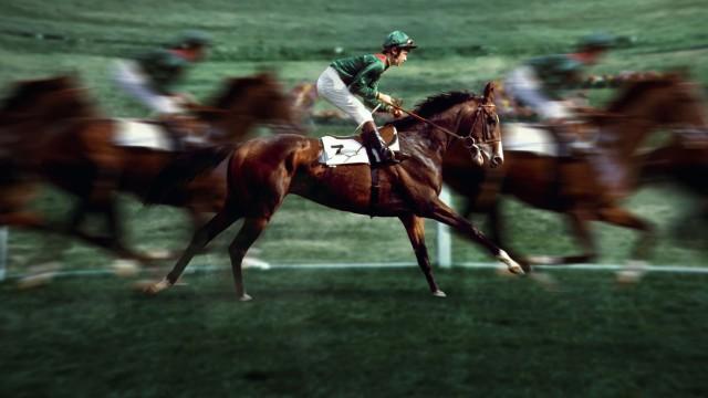 Shergar: The Racehorse and the IRA