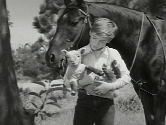 The 4-H Story