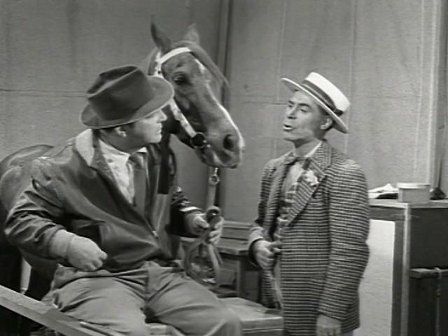 Wonder Horse