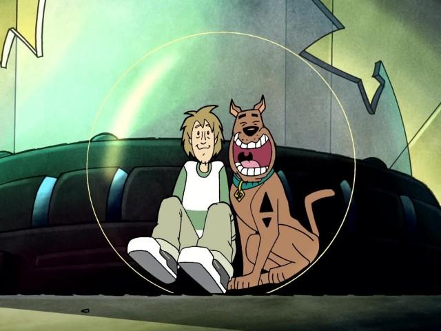 Zoinks the Wonder Dog