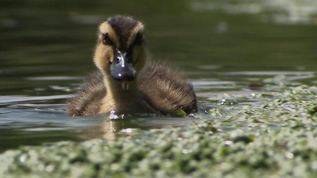 Drinking Our Rivers Dry?