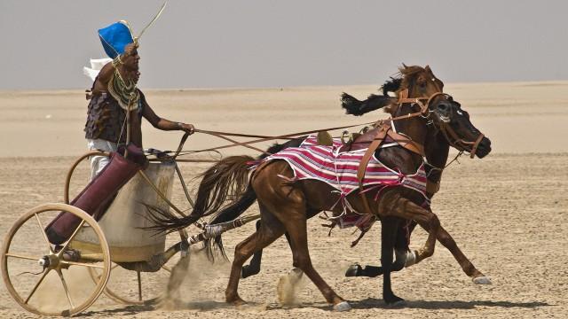 Building Pharaoh's Chariot