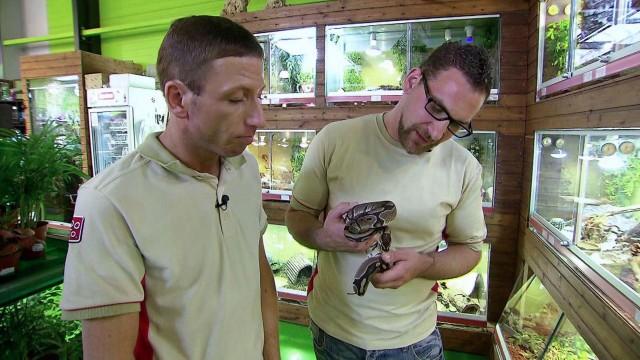 Zoo & Co