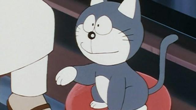 Camu Camu Cat Food