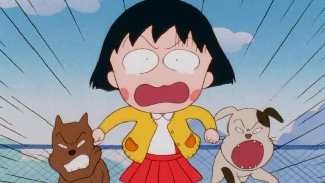 Maruko is Chased by Stray Dogs!